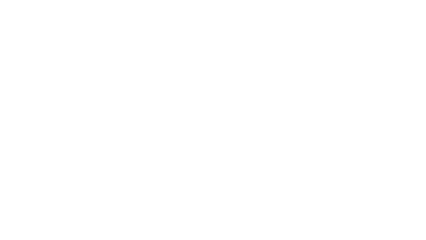roku